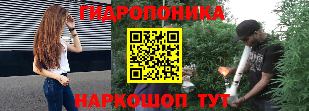 Шишки марихуана план  Бошки марихуана Bruce Banner  Орск  Конопля THC 21%  МАРИХУАНА семена  Вход с VPN 